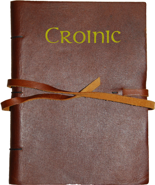 Croinic Notebook